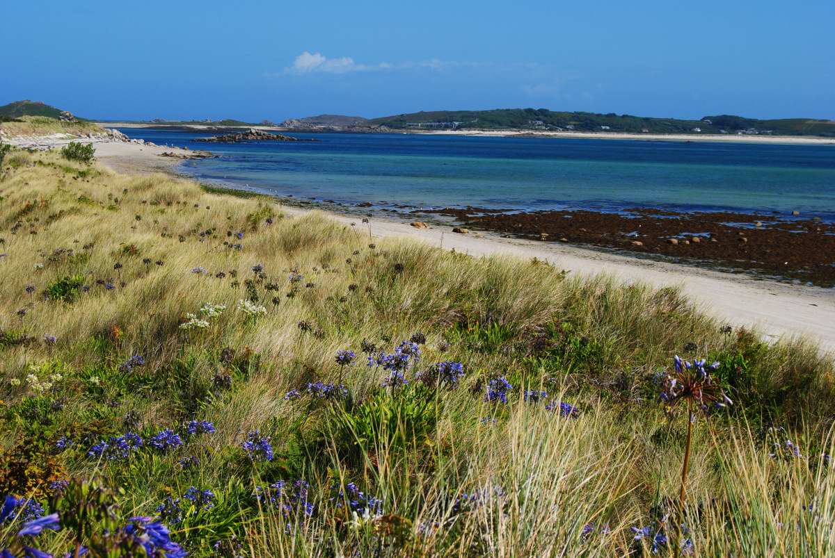 698 Tresco_01