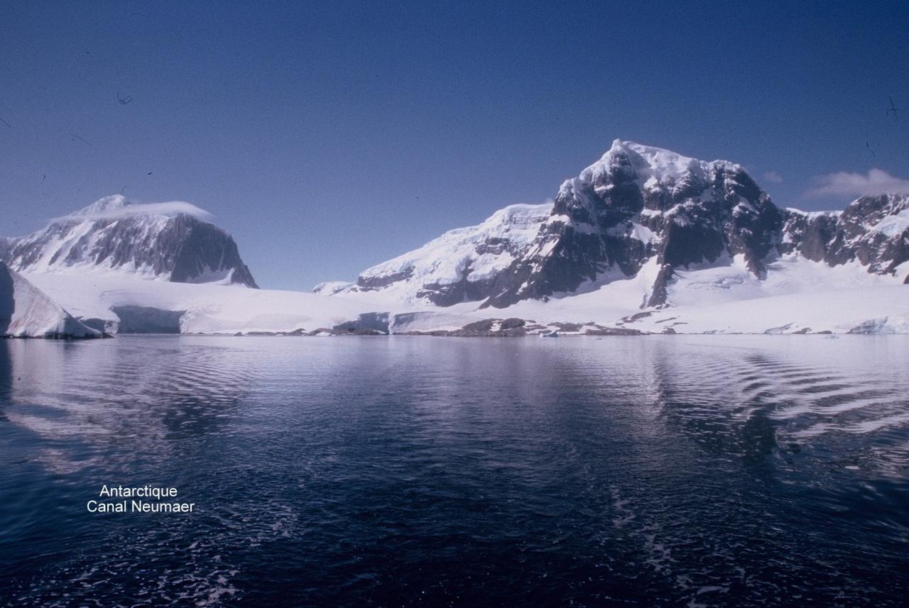 Antarctique Canal Neumaer