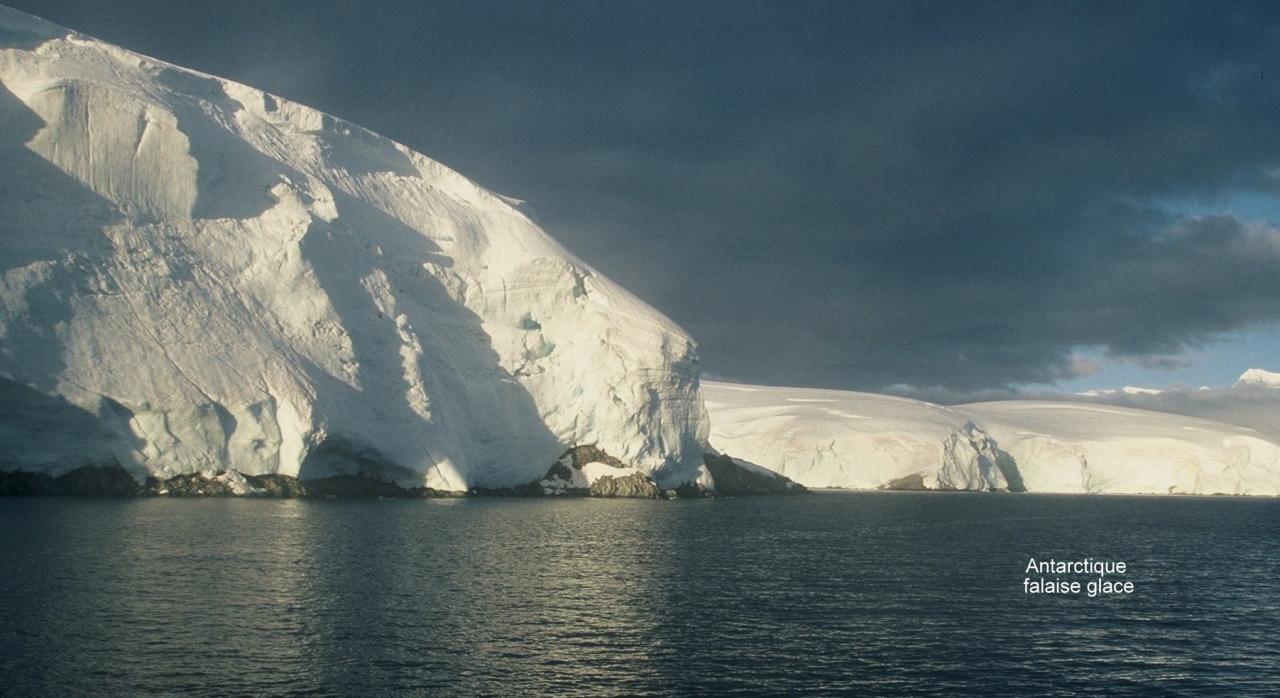 Antarctique falaises de glace