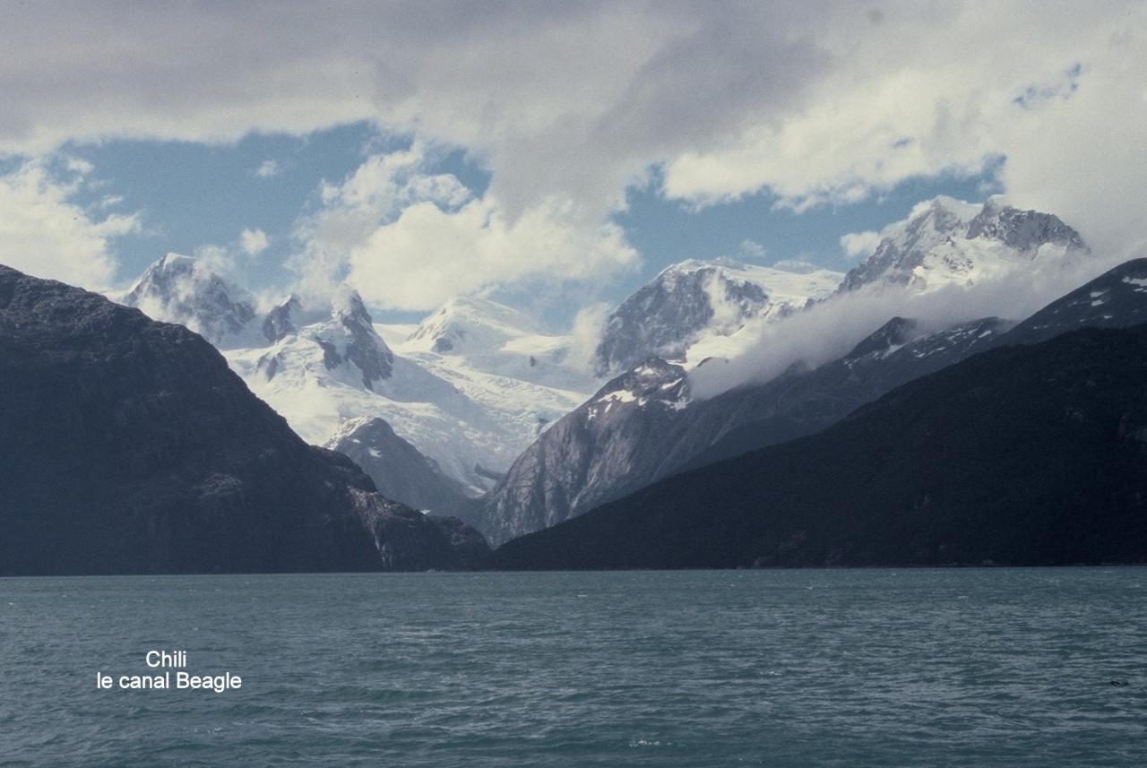 Chilli le Canal Beagle