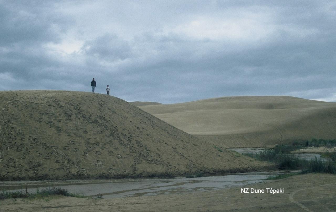 NZ Dune Tépaki