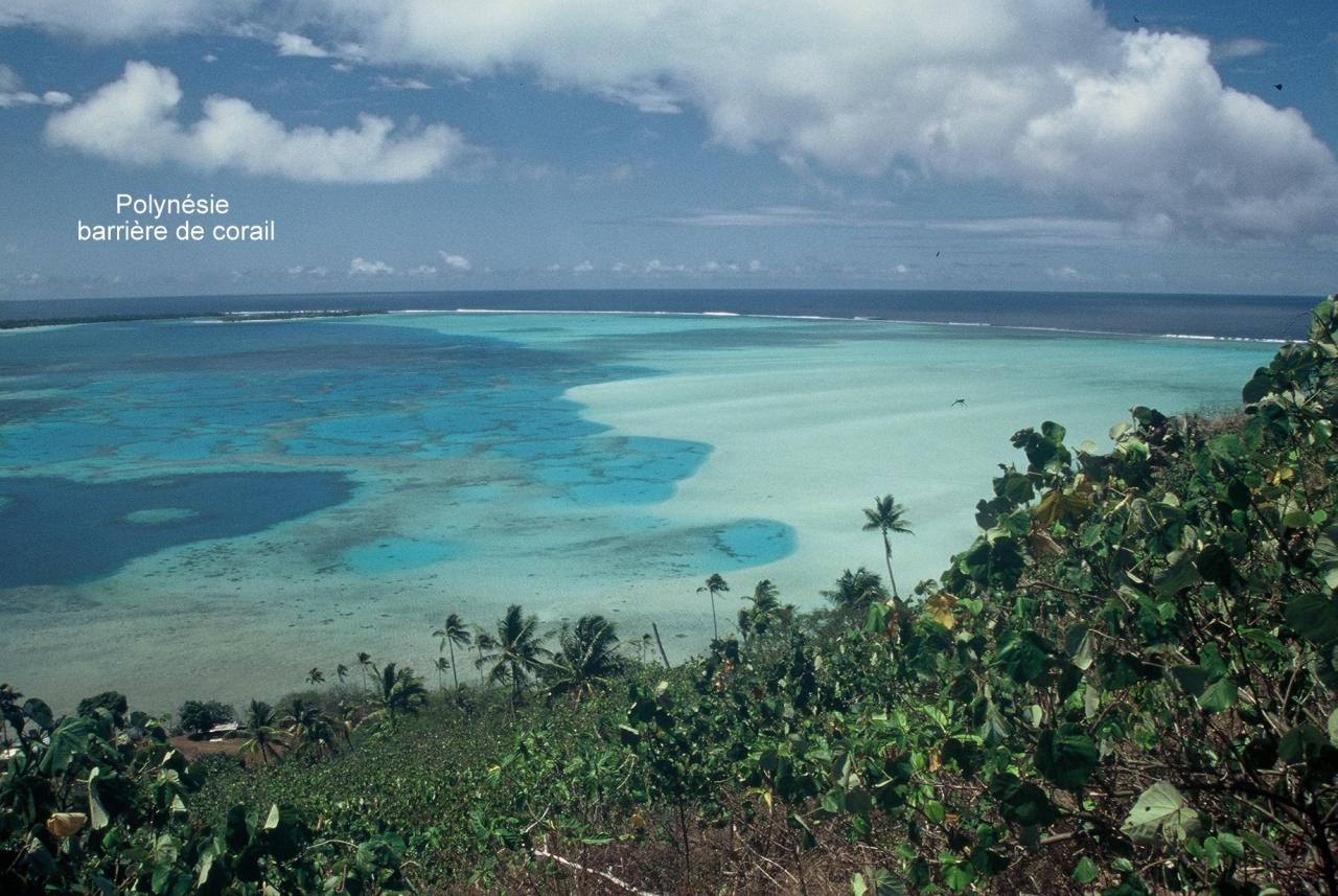 Polynésie Barrière corail