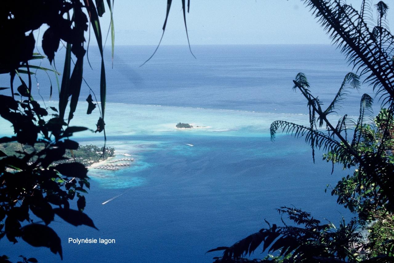 Polynésie lagon