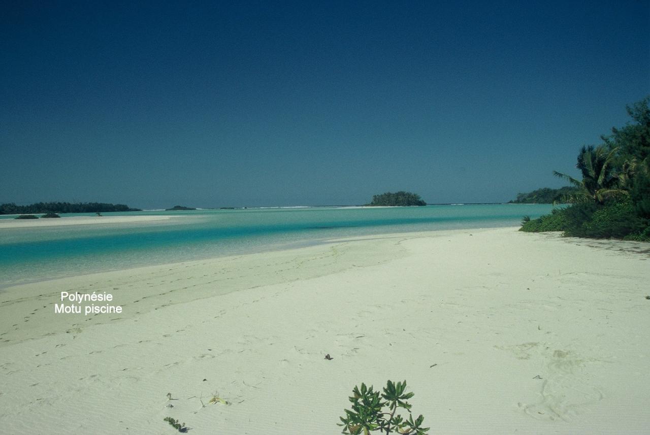 Polynésie Motu piscine