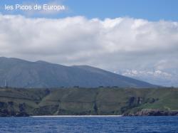 Photo15